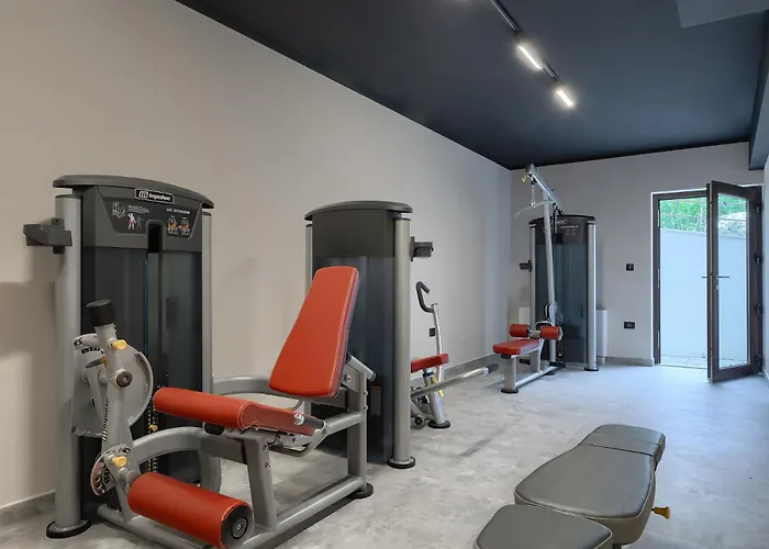 Nicol Tireli Βίλα Kršan